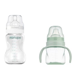 Mamajoo - Mamajoo Silber Babyflasche 150 ml & Auslaufsichere Trink-Lernbecher Pudergrün 270ml mit Griff & Anti-Kolik Weicher Schnabel