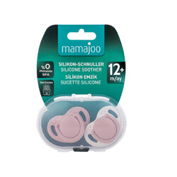 Mamajoo Orthodontic Design Soother Powder Pink with Sterilization&Storage Box 12+ months - Thumbnail