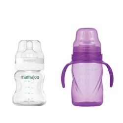 Mamajoo - Mamajoo Silber Babyflasche 150 ml & Auslaufsichere Trink-Lernbecher Lila 270ml mit Griff & Anti-Kolik Weicher Schnabel