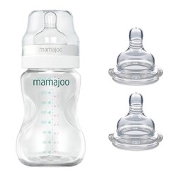  - Mamajoo Silber Babyflasche 250 ml & Anti-Kolik-Flaschensauger mit Aufbewahrungsbox / 0+ Monate, klein, 2er-Pack