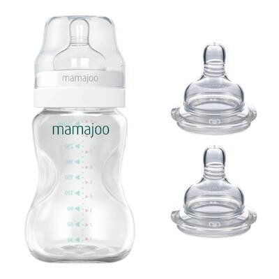 Mamajoo Silber Babyflasche 250 ml & Anti-Kolik-Flaschensauger mit Aufbewahrungsbox / 0+ Monate, klein, 2er-Pack