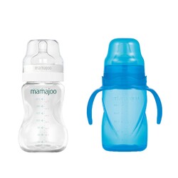 Mamajoo - Mamajoo Silber Babyflasche 250 ml & Auslaufsichere Trink-Lernbecher Blau 270ml mit Griff & Anti-Kolik Weicher Schnabel