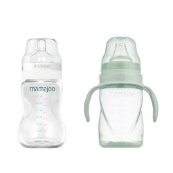  - Mamajoo Silber Babyflasche 250 ml & Auslaufsichere Trink-Lernbecher Pudergrün 270ml mit Griff & Anti-Kolik Weicher Schnabel