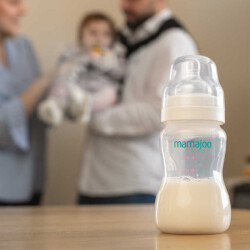 Mamajoo Silver Anti-Kolik Biberon 250 ml, 6 Ay+, Orta Akışlı - 7