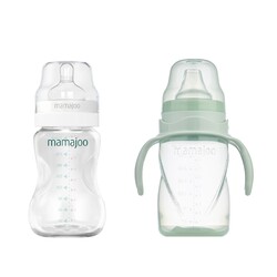 Mamajoo Silver Biberon 250ml & Kulplu Eğitici Bardak 270ml / Powder Green - Thumbnail